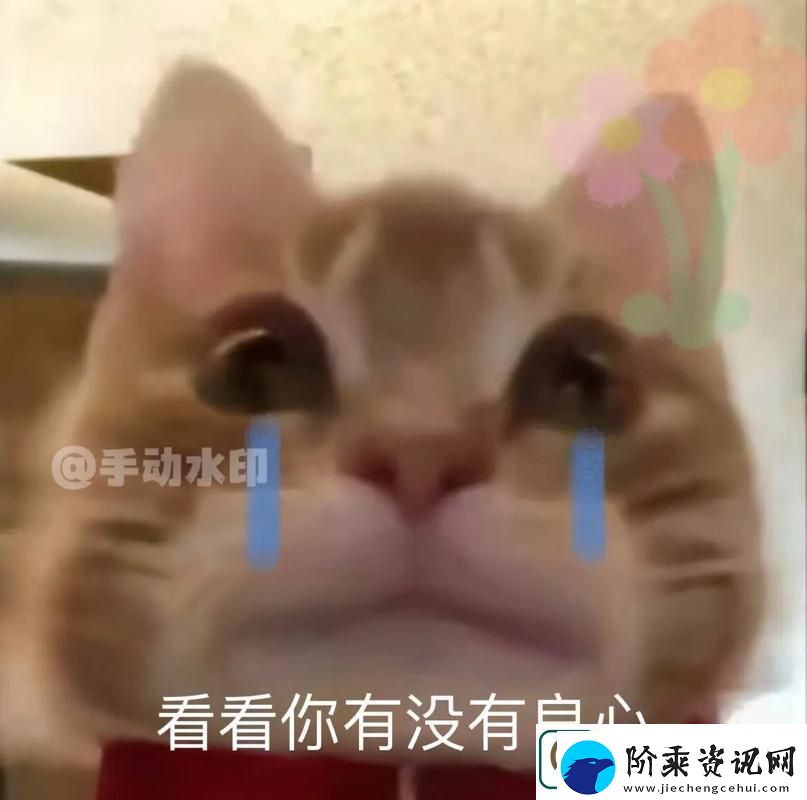 细数男人把QQ号放进女人表情包里友纷纷热议