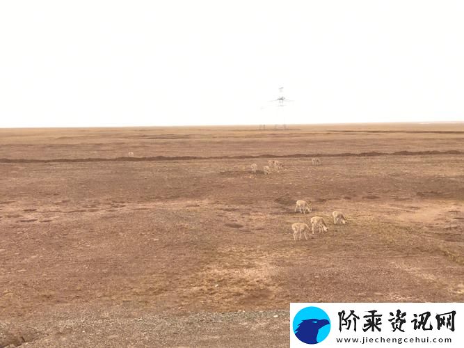 51无人区码一二三四区别图片