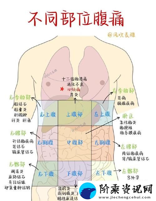 内容丰富女上男下姿势后左下腹肚子疼-可能暗示的原因与解决方法