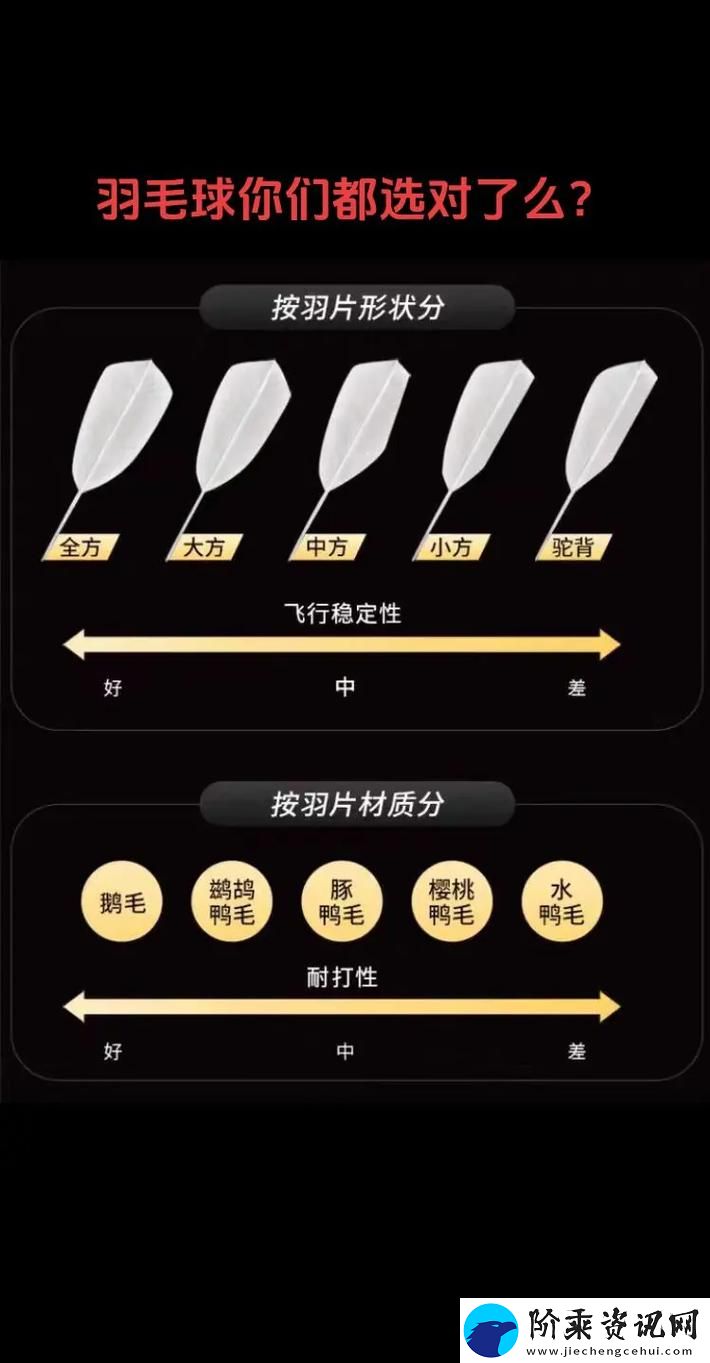 AAAA级毛与AAAA的区别-网友：谁才是“毛”的王者-