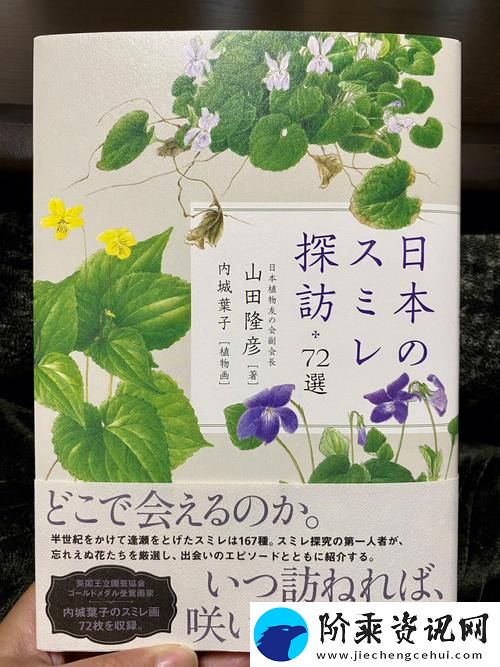 追寻自由与爱的心灵旅程——野花日本高清在线观看