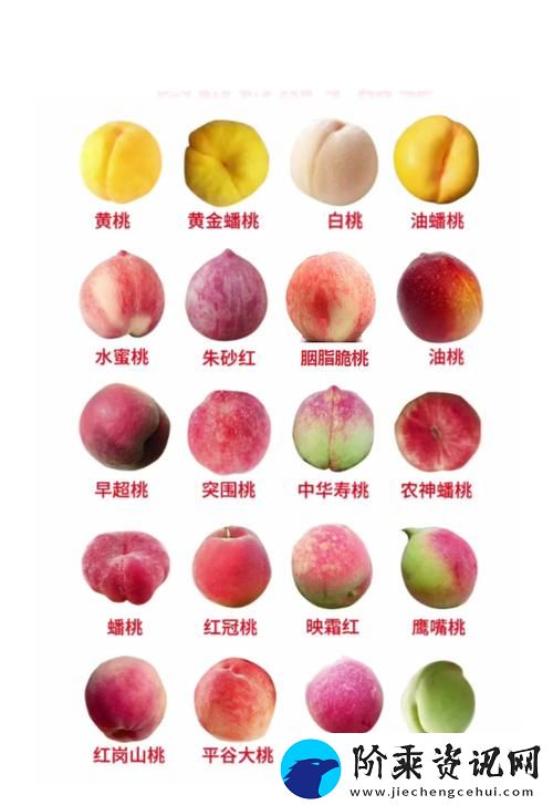 蜜桃产品一二三产区的独特魅力与经济潜力