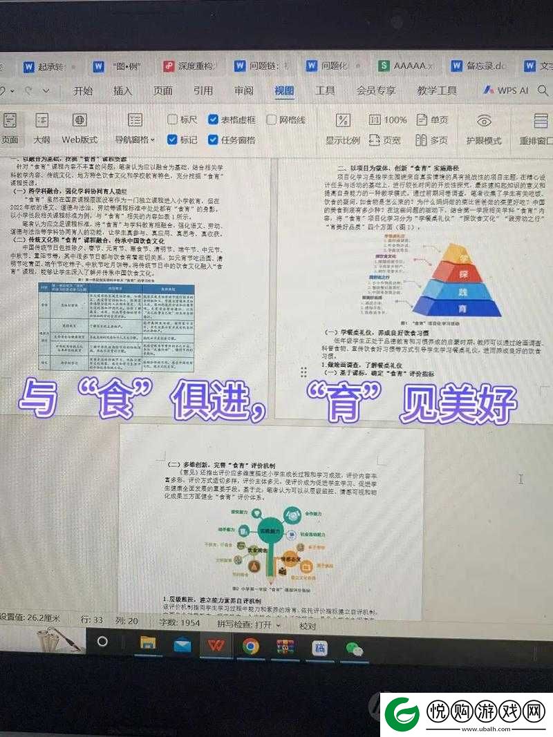 肉食教师食取报告-2-：揭示教育领域的饮食现象与深层思考