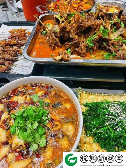 大香煮2024一人一煮使用方法：详细介绍与具体步骤说明
