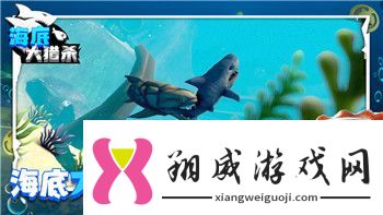 影子武士豆瓣的评分与评价探讨究竟是怎样的游戏魅力吸引玩家们热议