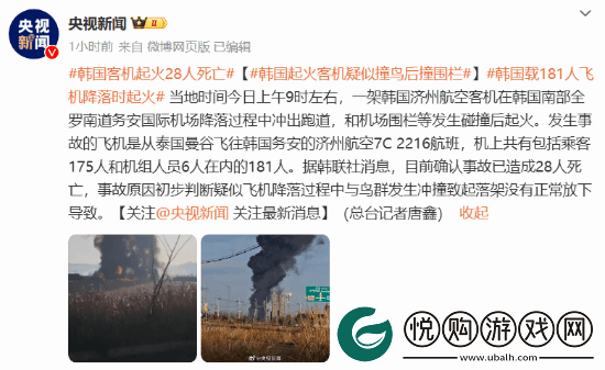 韩国撞墙客机黑匣子已找到-最新确认飞机遭鸟群撞击
