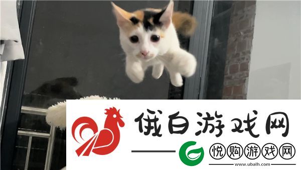 小飞棍来咯这个梗都是什么意思