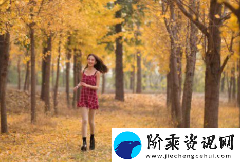 国产a久久㊙️麻豆入口