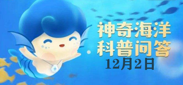 红树林生长在海水中，不仅不怕涝，而且很：有些任务需要时间去完成