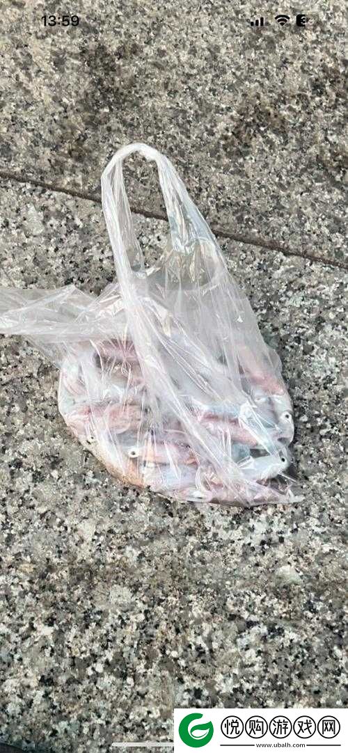 by72777 鱿鱼最新换哪了：揭秘背后的真相
