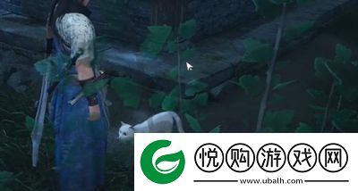 燕云十六声清河猫咪位置攻略总结【详细图解】