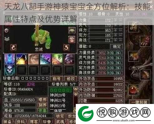天龙八部手游神猿宝宝全方位解析