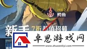 航海王壮志雄心招募历史记录查看位置